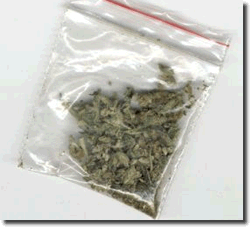 Bag of marijuana