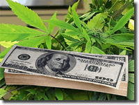Cost of Marijuana